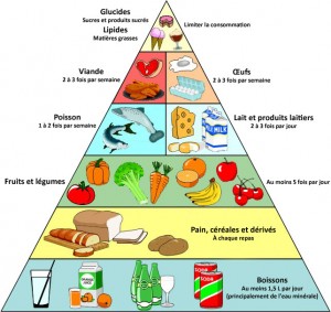 Les Besoins Nutritionnels | TPE Boissons Énergisantes